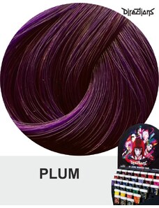 Directions Barva na vlasy Plum 88ml