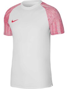 Dres Nike Dri-FIT Academy Kids dh8369-100