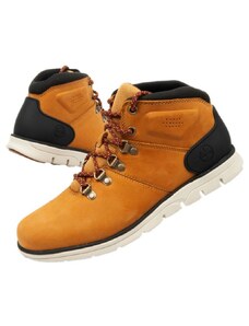 Pánská obuv Timberland Bradstreet M TB0A26YZ