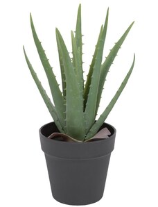 Umělá květina Kave Home Aloe Vera