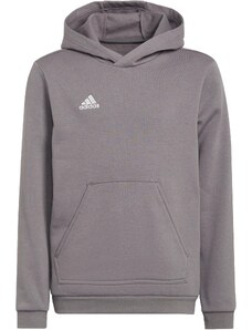 Mikina s kapucí adidas ENT22 HOODY Y h57515
