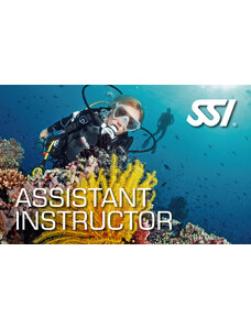Assistant Instructor - Asistent Instruktora