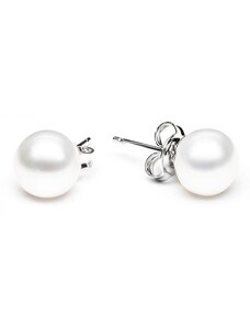 Gaura Pearls Stříbrné náušnice s bílou perlou Hayley, stříbro 925/1000, 7.5-8 mm
