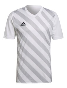 Pánský dres Entrada 22 Graphic Jersey M HF0129 - Adidas