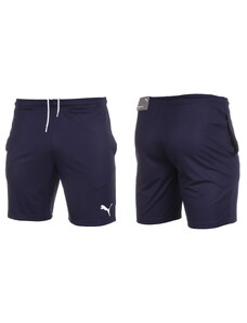 Nike PUMA pánské krátké kalhoty teamRISE Training Shorts 657336 06