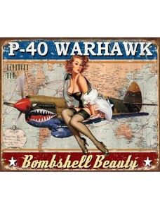 D.E. metal signs Plechová cedule P-40 Warhawk 32 cm x 40 cm