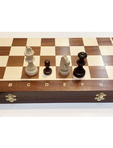 Klubové šachy 4010