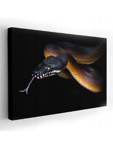 YESTU Obraz na plátně 120x80cm,3D efekt, had,černá