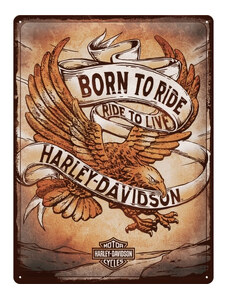 Nostalgic Art Plechová cedule Harley-Davidson Born to Ride 40 x 30 cm