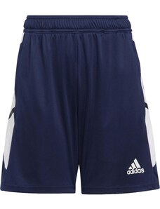 Šortky adidas CON22 TR SHO Y h23703