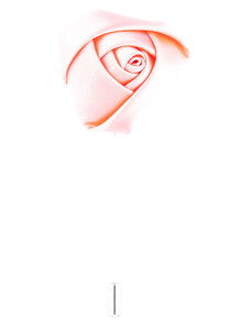 Obleč oblek Růžová lesklá květinová ozdoba do klopy