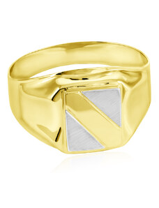 GEMMAX Jewelry Výrazný zlatý pánský pečetní prsten vel. 67 GMRCN-67-38061