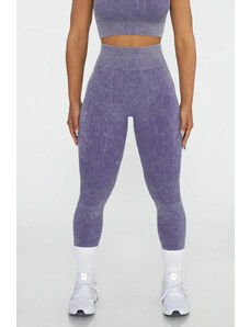 Gymclothes Dámské legíny Amplify Purple