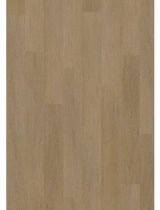 Oneflor Vinylová podlaha lepená ECO 55 064 English Oak Honey - dub - Lepená podlaha