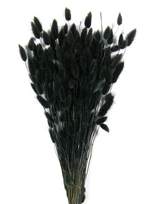 Wallachia decor Lagurus barvený černý