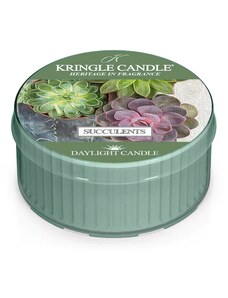 Kringle Candle Vonná Svíčka Succulents, 35 g