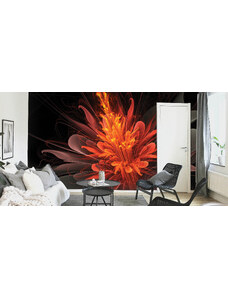 Malvis Tapeta ohnivá květina