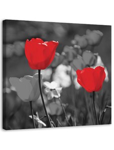 Gario Obraz na plátně Červené tulipány v šedé barvě Rozměry: 30 x 30 cm