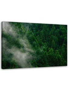 Gario Obraz na plátně Mlha nad lesem Rozměry: 60 x 40 cm