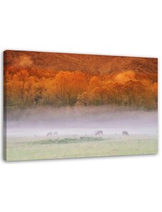 Gario Obraz na plátně Mlha nad řevem Rozměry: 60 x 40 cm