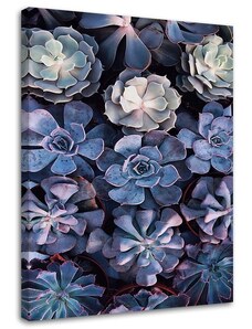 Gario Obraz na plátně Skandinávské květiny Rozměry: 40 x 60 cm