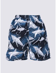 Yoclub Kids's Boy's Beach Shorts LKS-0046C-A100