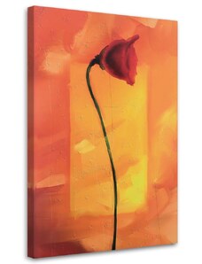 Gario Obraz na plátně Osamělý květ máku Rozměry: 40 x 60 cm