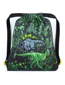 Bagmaster SÁČEK BETA 22 D školní na přezůvky / tělocvik - dinosauři