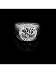 Dámský prsten Arbre De Vie se symbolem Stromu života | DG Šperky
