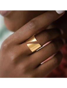Ocelový prsten ANY Gold