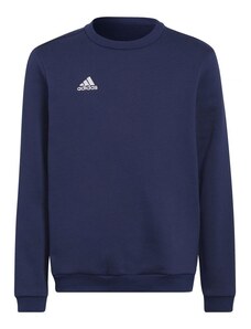 Dětské fotbalové tričko Entrada 22 Hoody Jr H57568 - Adidas