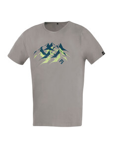 Pánské lezecké triko Direct Alpine Flash 5.0 stone (mountains)