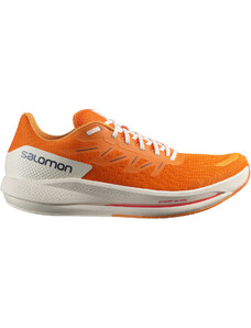 Běžecké boty Salomon SPECTUR l41589800