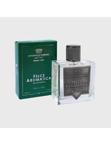 Saponificio Varesino Felce Aromatica Eau de Parfum parfém pro muže 100 ml