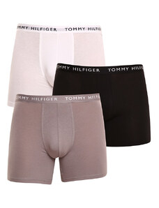 3PACK pánské boxerky Tommy Hilfiger vícebarevné (UM0UM02204 0TG)