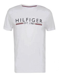 Pánská trička Tommy Hilfiger | 1 570 kousků - GLAMI.cz