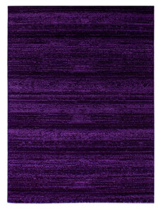 Ayyildiz koberce AKCE: 80x150 cm Kusový koberec Plus 8000 lila - 80x150 cm