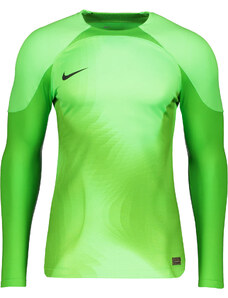 Dres s dlouhým rukávem Nike Foundation Long Sleeve Goalkeeper Jersey dj7232-398