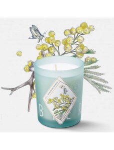 Vonná svíčka Fleur de Mimosa Kerzon