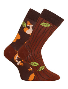 Veselé ponožky Dedoles Veverky (GMRS141)