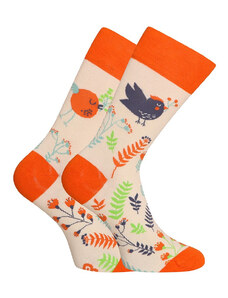 Veselé ponožky Dedoles Roztomilí ptáčci (D-U-SC-RS-C-C-1569)