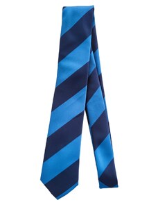 Obleč oblek Pánská kravata s modrými pruhy