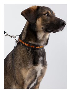 Alpha Industries Obojek ALPHA AI Dog-Tag Collar černá | oranžová