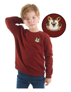 Denokids Tiger Boy Sweatshirt