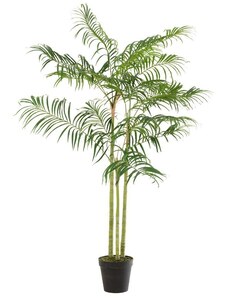 Umělá květina J-Line Maryath Bamboo Palm 170 cm