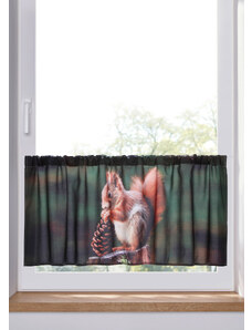 bonprix Krátká záclona s motivem veverek Hnědá
