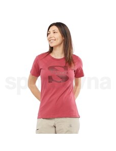 Salomon OUTLIFE BIG LOGO TEE W LC1798100 - earth red