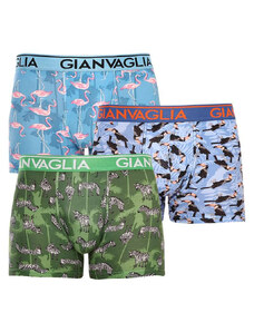 3PACK pánské boxerky Gianvaglia vícebarevné (GVG-5501)