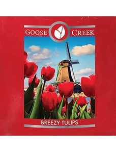 Wax Addicts Crumble vosk Goose Creek Breezy Tulips USA 22g