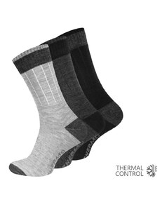 Ponožky pánské "THERMO TECH"